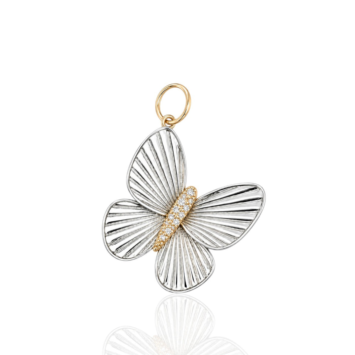 Two-Tone Butterfly Medium