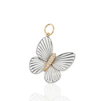 Two-Tone Butterfly Medium