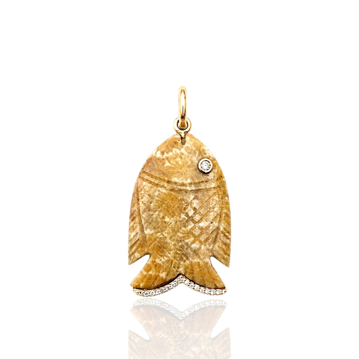 Fossil Coral Océane Fish