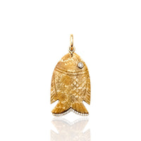 Fossil Coral Océane Fish