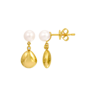 Golden Drop Earrings