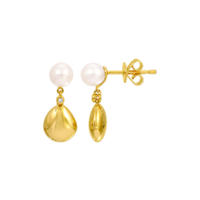 Golden Drop Earrings