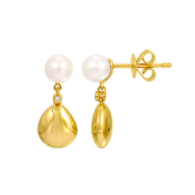 Golden Drop Earrings