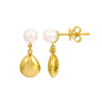 Golden Drop Earrings